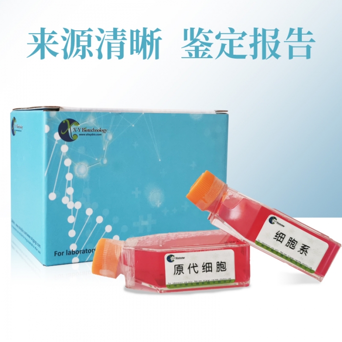 SOM-4D10细胞（小鼠抗CD71杂交瘤细胞）XY-M352 - 上海信裕生物-信裕